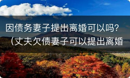因债务妻子提出离婚可以吗？（丈夫欠债妻子可以提出离婚吗）