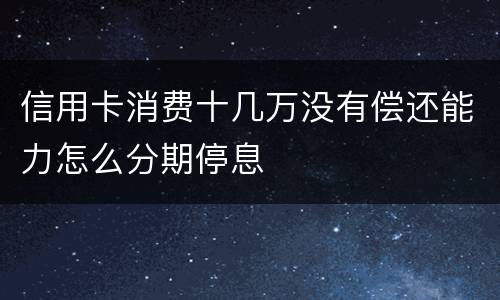信用卡消费十几万没有偿还能力怎么分期停息