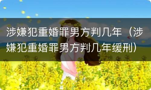 涉嫌犯重婚罪男方判几年（涉嫌犯重婚罪男方判几年缓刑）