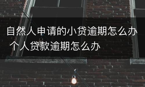 自然人申请的小贷逾期怎么办 个人贷款逾期怎么办