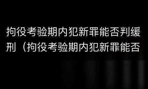 拘役考验期内犯新罪能否判缓刑（拘役考验期内犯新罪能否判缓刑案例）