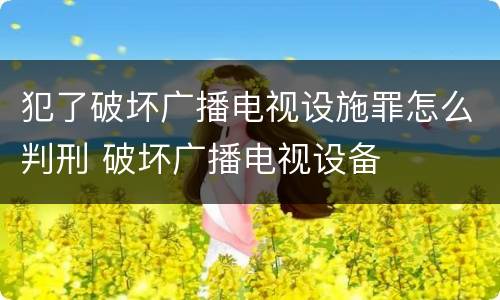 犯了破坏广播电视设施罪怎么判刑 破坏广播电视设备