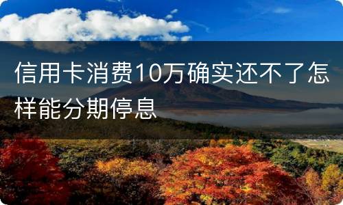 信用卡消费10万确实还不了怎样能分期停息
