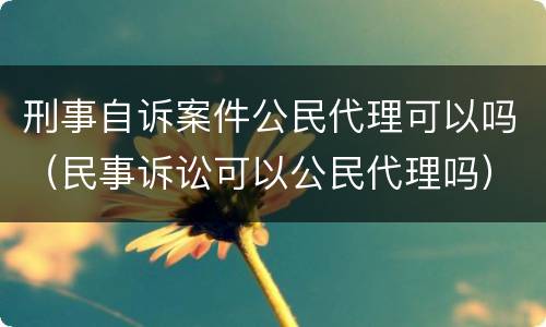 刑事自诉案件公民代理可以吗（民事诉讼可以公民代理吗）