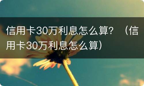 信用卡30万利息怎么算？（信用卡30万利息怎么算）