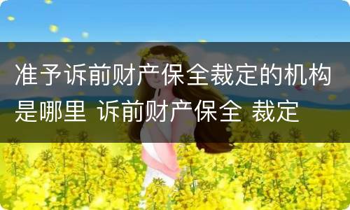 准予诉前财产保全裁定的机构是哪里 诉前财产保全 裁定