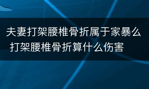 夫妻打架腰椎骨折属于家暴么 打架腰椎骨折算什么伤害