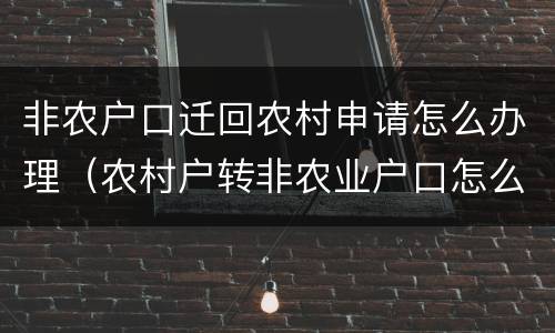 非农户口迁回农村申请怎么办理（农村户转非农业户口怎么申请）