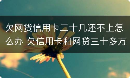 欠网货信用卡二十几还不上怎么办 欠信用卡和网贷三十多万还不上怎么办