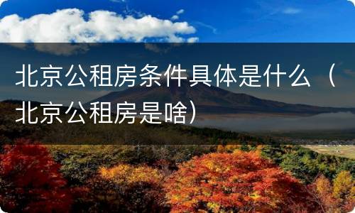 北京公租房条件具体是什么（北京公租房是啥）