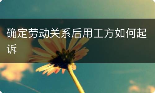 确定劳动关系后用工方如何起诉