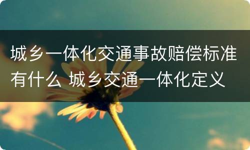 城乡一体化交通事故赔偿标准有什么 城乡交通一体化定义