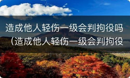 造成他人轻伤一级会判拘役吗（造成他人轻伤一级会判拘役吗）