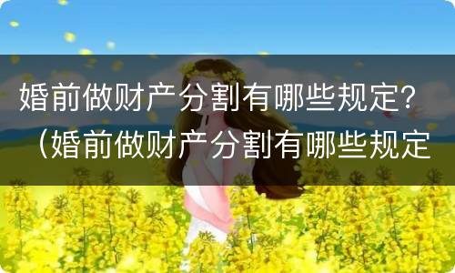 婚前做财产分割有哪些规定？（婚前做财产分割有哪些规定和条件）