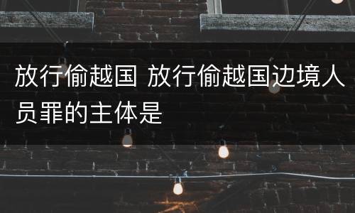 放行偷越国 放行偷越国边境人员罪的主体是