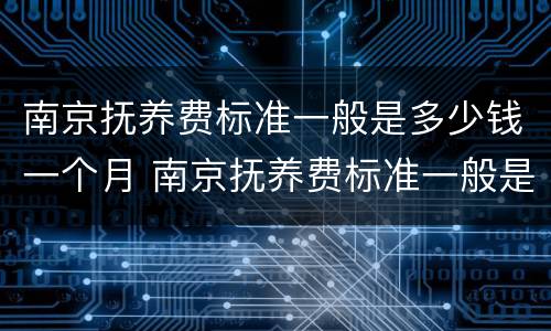 南京抚养费标准一般是多少钱一个月 南京抚养费标准一般是多少钱一个月的