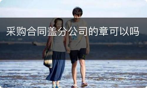 采购合同盖分公司的章可以吗