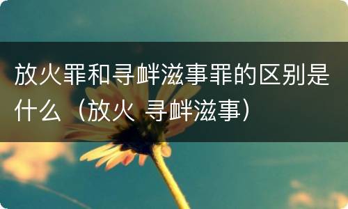 放火罪和寻衅滋事罪的区别是什么（放火 寻衅滋事）