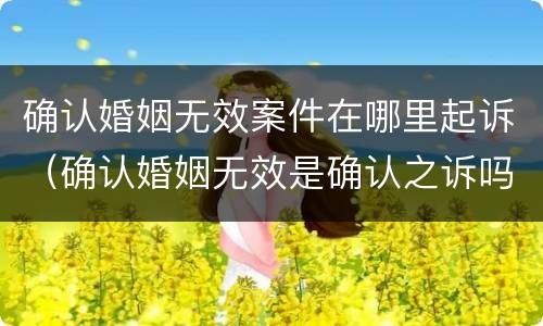 确认婚姻无效案件在哪里起诉（确认婚姻无效是确认之诉吗）
