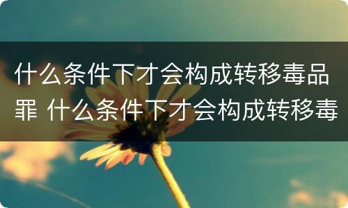 什么条件下才会构成转移毒品罪 什么条件下才会构成转移毒品罪呢