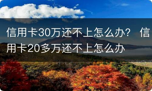 信用卡30万还不上怎么办？ 信用卡20多万还不上怎么办