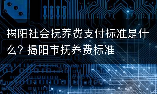 揭阳社会抚养费支付标准是什么? 揭阳市抚养费标准