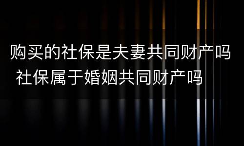 购买的社保是夫妻共同财产吗 社保属于婚姻共同财产吗