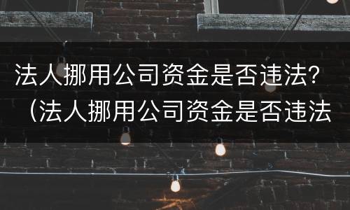 法人挪用公司资金是否违法？（法人挪用公司资金是否违法行为）