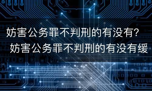 妨害公务罪不判刑的有没有？ 妨害公务罪不判刑的有没有缓刑