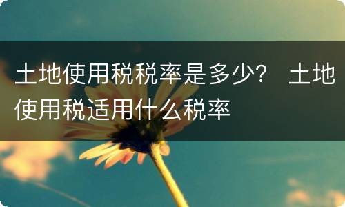 土地使用税税率是多少？ 土地使用税适用什么税率
