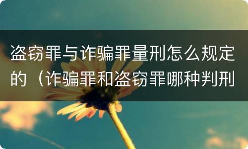 盗窃罪与诈骗罪量刑怎么规定的（诈骗罪和盗窃罪哪种判刑严重）