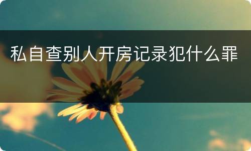私自查别人开房记录犯什么罪