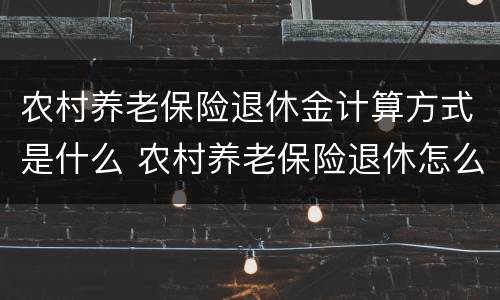 农村养老保险退休金计算方式是什么 农村养老保险退休怎么算的