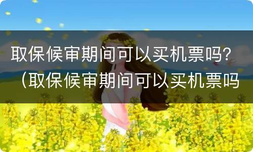 取保候审期间可以买机票吗？（取保候审期间可以买机票吗）