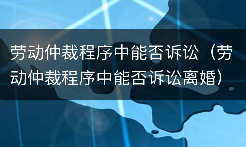 劳动仲裁程序中能否诉讼（劳动仲裁程序中能否诉讼离婚）