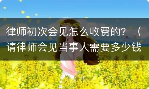 律师初次会见怎么收费的？（请律师会见当事人需要多少钱）