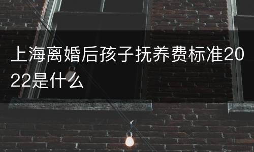 上海离婚后孩子抚养费标准2022是什么