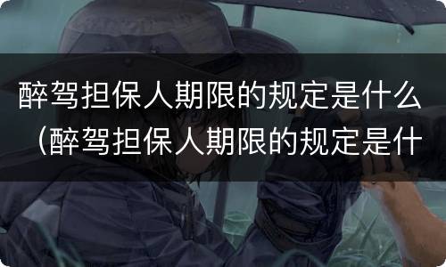 醉驾担保人期限的规定是什么（醉驾担保人期限的规定是什么呢）