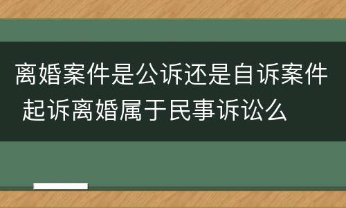离婚案件是公诉还是自诉案件 起诉离婚属于民事诉讼么