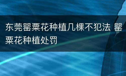 东莞罂粟花种植几棵不犯法 罂粟花种植处罚