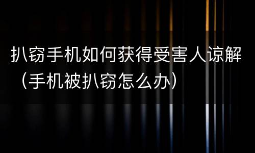 扒窃手机如何获得受害人谅解（手机被扒窃怎么办）