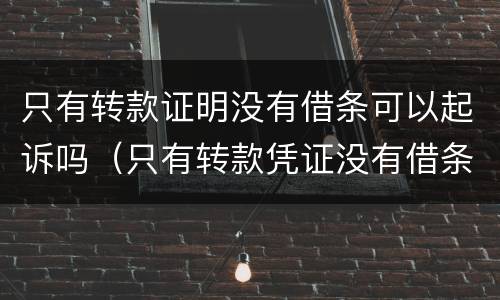 只有转款证明没有借条可以起诉吗（只有转款凭证没有借条怎么办）