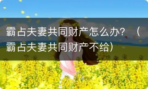 霸占夫妻共同财产怎么办？（霸占夫妻共同财产不给）