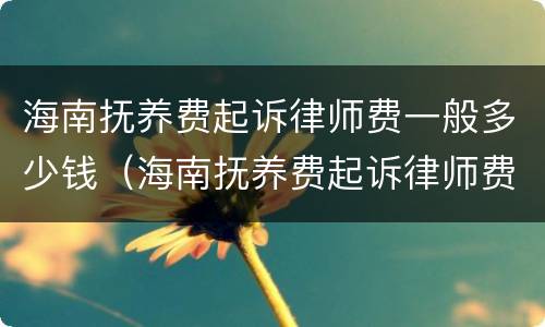 海南抚养费起诉律师费一般多少钱（海南抚养费起诉律师费一般多少钱啊）