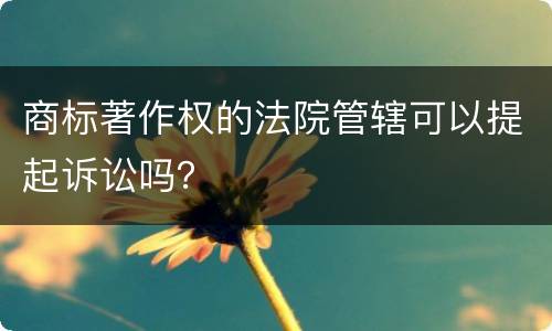 商标著作权的法院管辖可以提起诉讼吗？