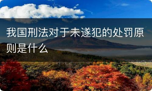 我国刑法对于未遂犯的处罚原则是什么