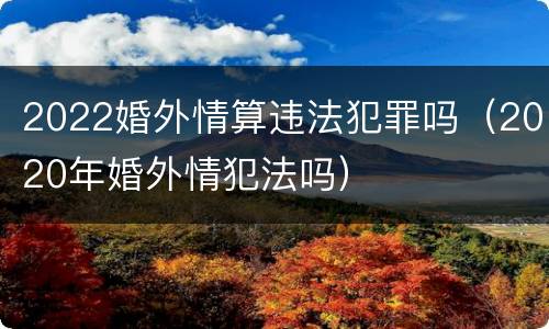 2022婚外情算违法犯罪吗（2020年婚外情犯法吗）