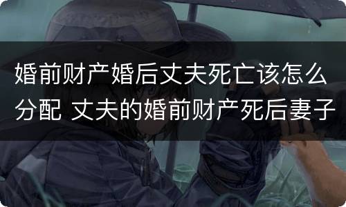 婚前财产婚后丈夫死亡该怎么分配 丈夫的婚前财产死后妻子可以继承吗