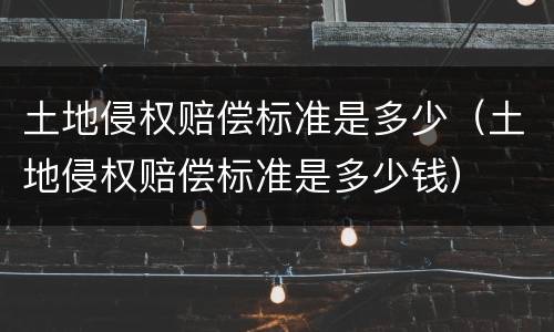 土地侵权赔偿标准是多少（土地侵权赔偿标准是多少钱）