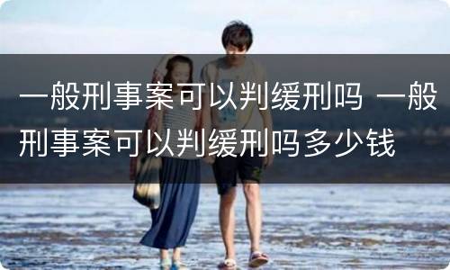 一般刑事案可以判缓刑吗 一般刑事案可以判缓刑吗多少钱